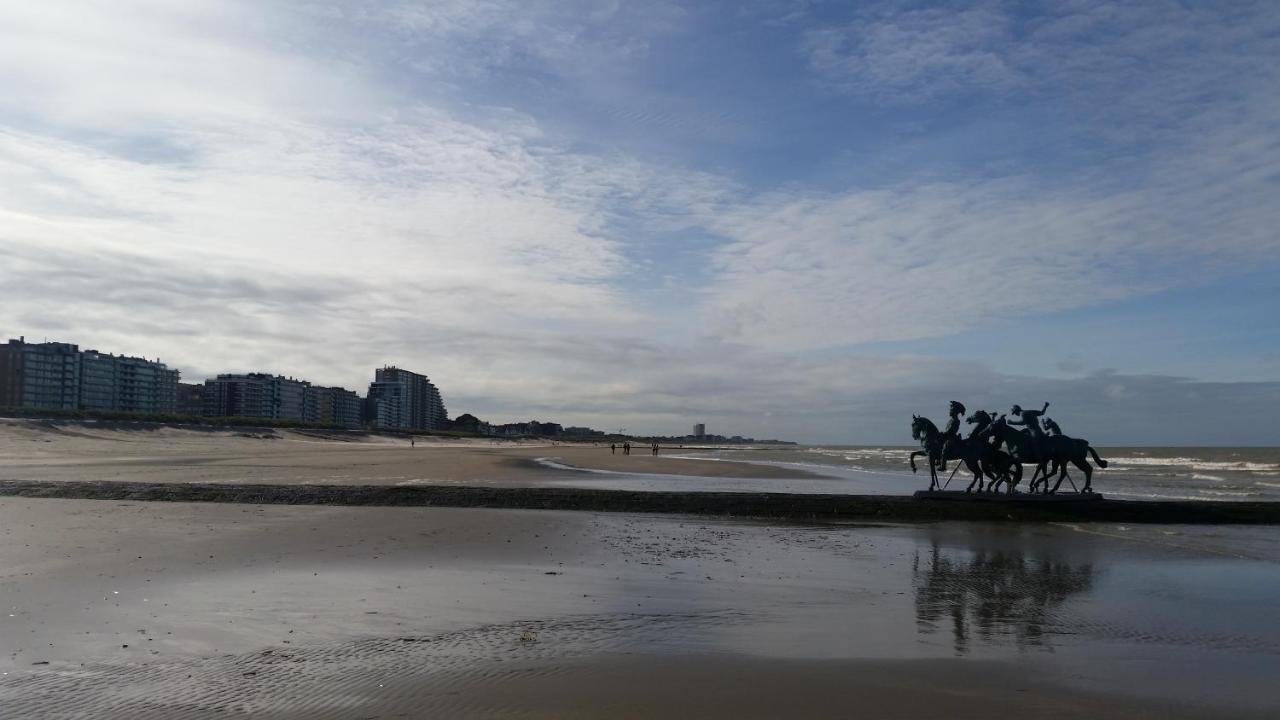 Duinhalm Willa Nieuwpoort Zewnętrze zdjęcie